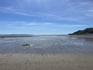 Turning 60: The Curtain Opens on Act IV